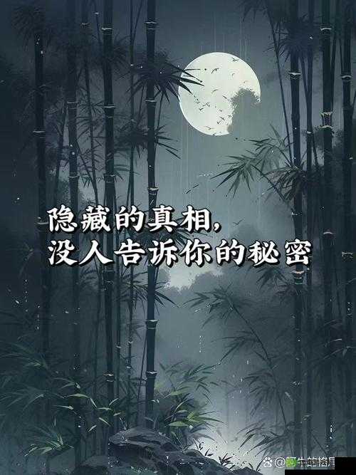 已屏蔽:探索未知背后被隐藏的真相与秘密