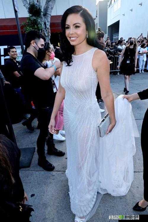 欧美精品 18videose×性欧美:探索成人领域的精彩世界