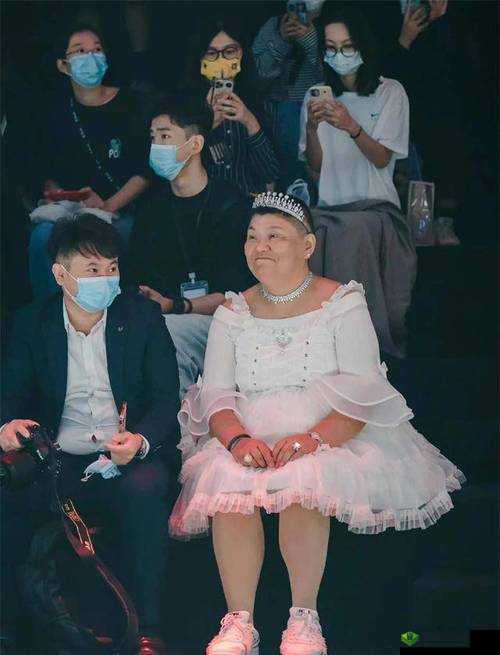 沈阳老阿姨最后的巅峰爆料大批新视频:背后的故事与真相探寻