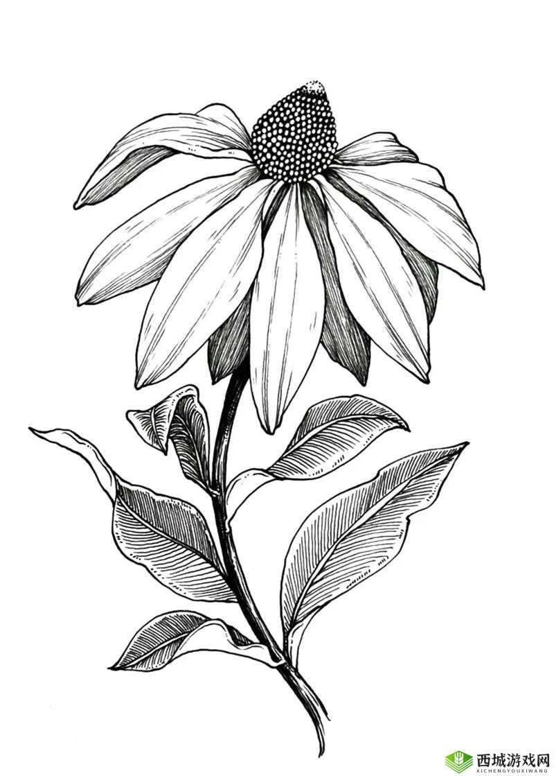 绽放的菊花中插着一支笔,如此特别的艺术形式,你见过吗?