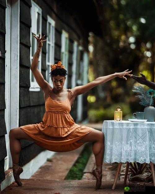 黑人 Videos3D 极品另类:独特视角下的震撼呈现