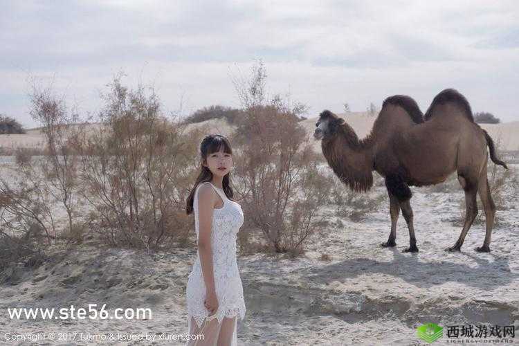 越南女 RAPPERDISS 苗族:文化与音乐的碰撞