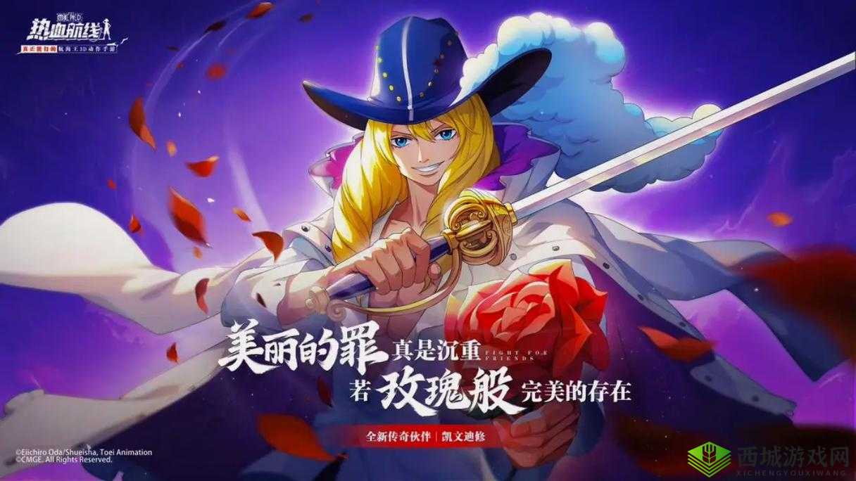 航海王的热血航线,探索与伙伴的无限可能