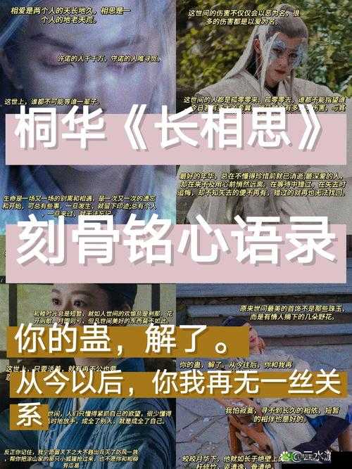 我已来不及等待,迫切想要把你拥入怀