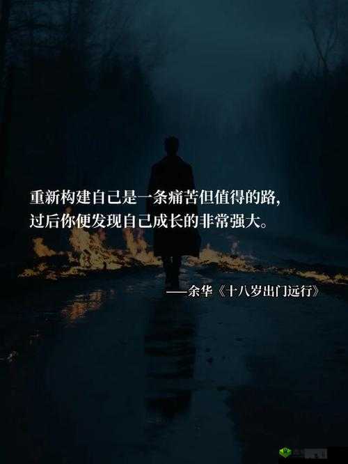 最后一排的陌生人:一段未知的长途旅程