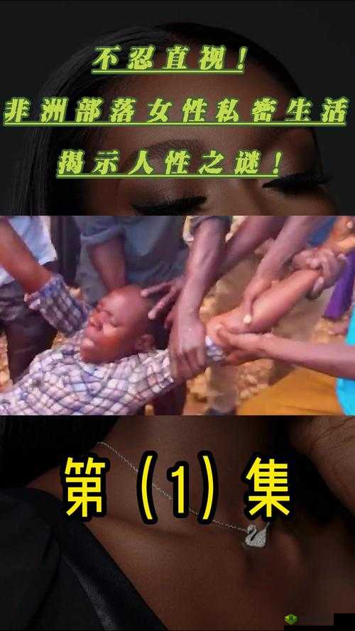 探寻非洲忌讳之谜:1-4 的惊人秘密