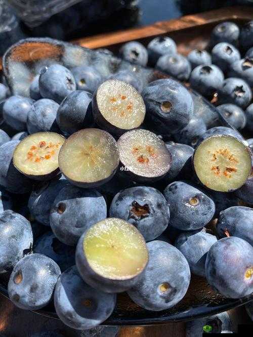 啊~你TM别舔了蓝莓:这让人惊诧的一幕究竟为何