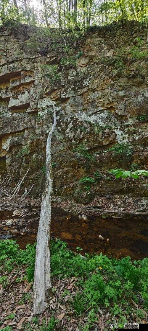 国偷自愉自产产区第 91 区:探索未知的神秘领域