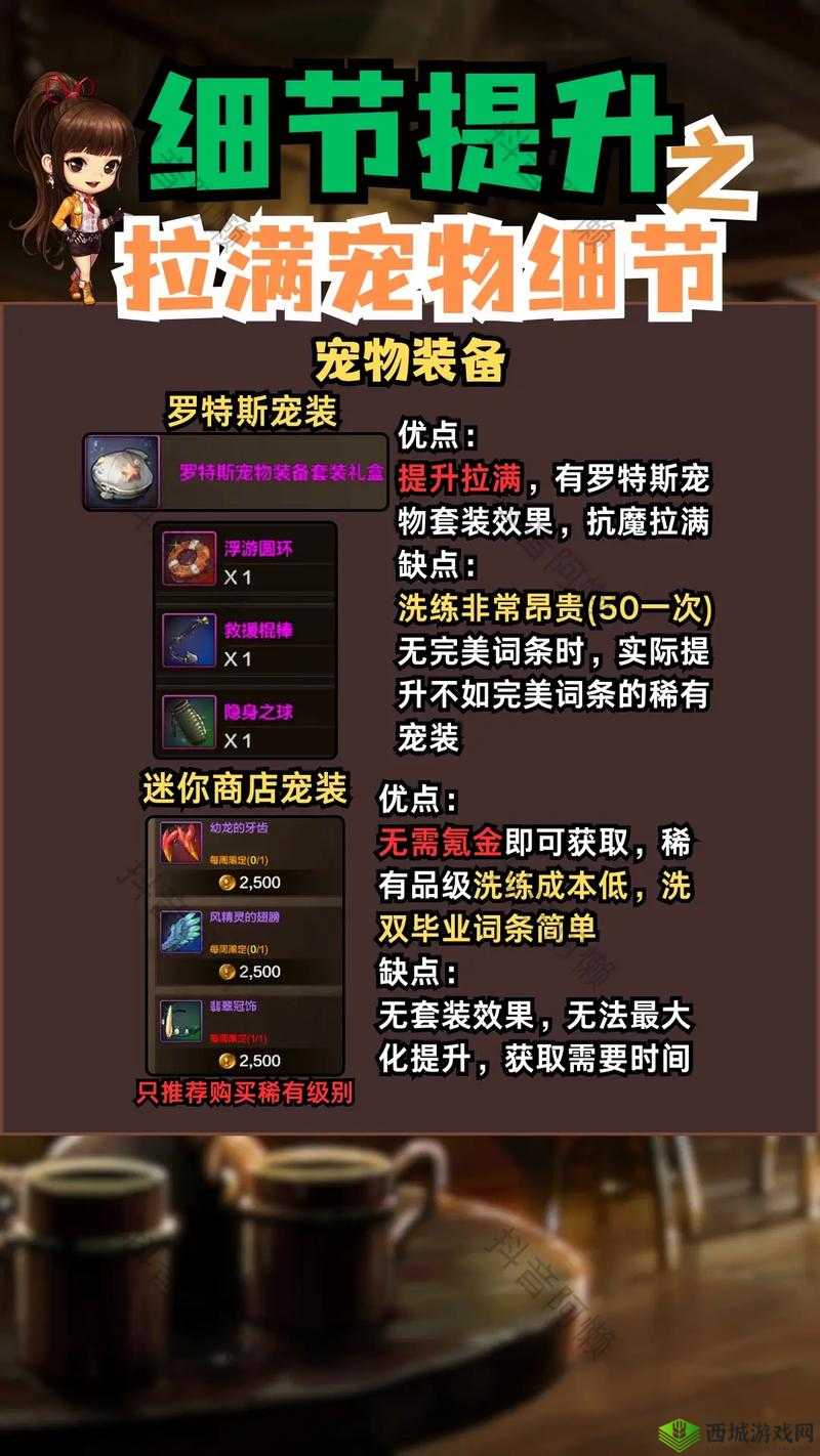 地下城与勇士，探索宠物与宠物装备的奇妙世界