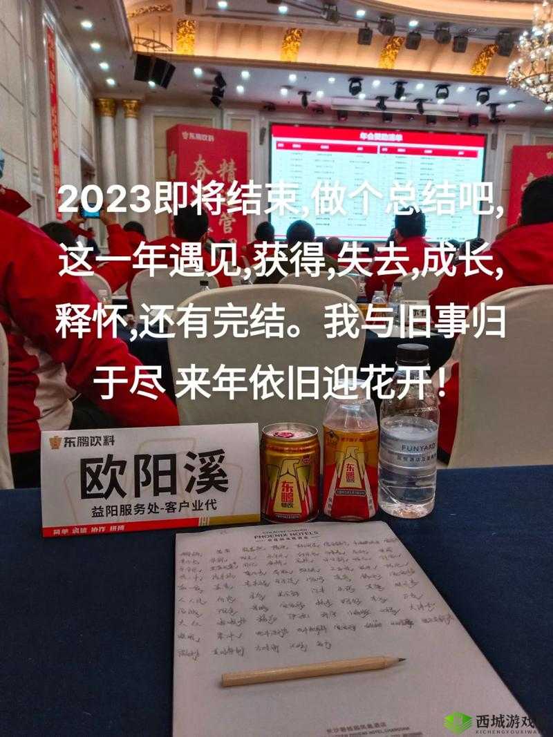 曹留社区 2024 年一二三四五六三:展望未来,社区发展新篇章