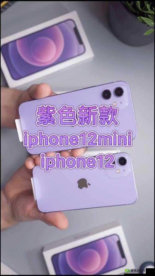 紫色浪漫新纪元,iPhone12外观深度赏析