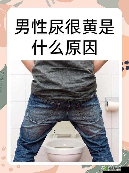 戴上尿锁不能尿知乎：探寻背后的奇特现象与成因