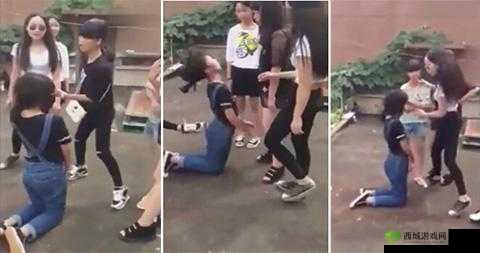 女生逼下载相关资源及详细介绍