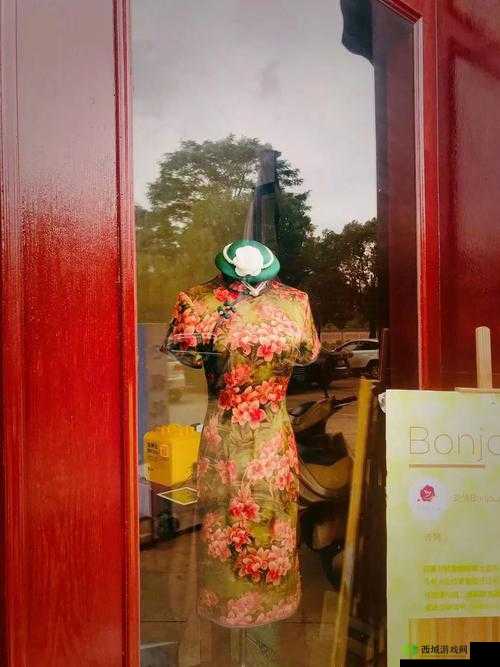 极品婬荡千妇 XXXXX78 的别样风情与故事