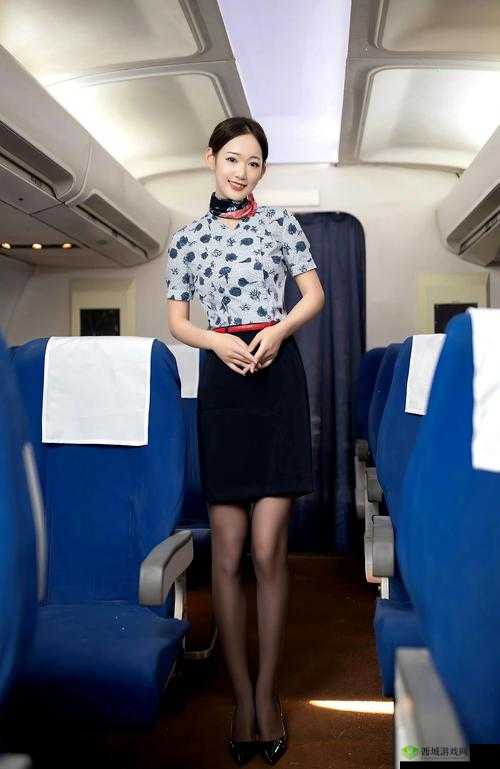 xxxx69 空姐:云端之上的魅力与诱惑