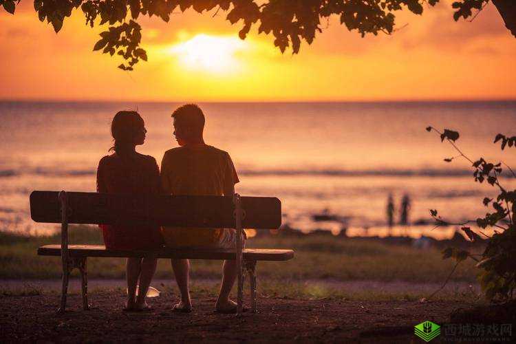 两对夫妻与情人聚会:激情与情感的交织