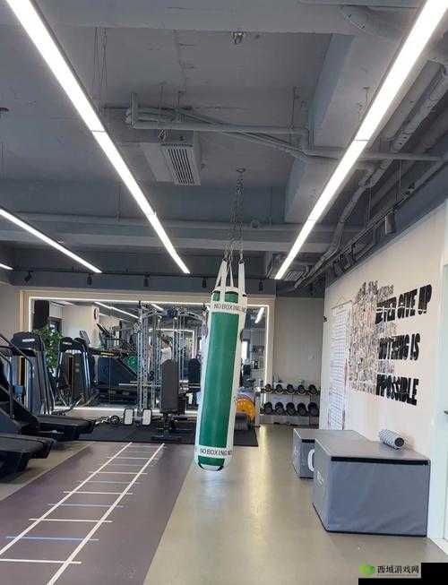 可乐操久久久:探索独特健身方式带来的身心变化