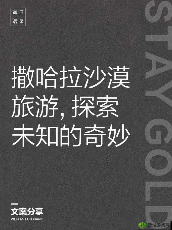 操毛逼:探索未知的奇妙旅程