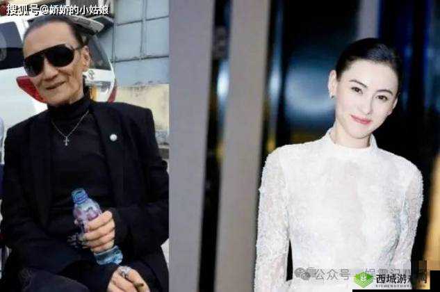 张柏芝插逼:窥探娱乐界的真相