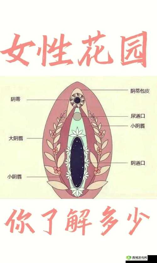 舌吻舔阴国产:探索极致私密体验的奥秘