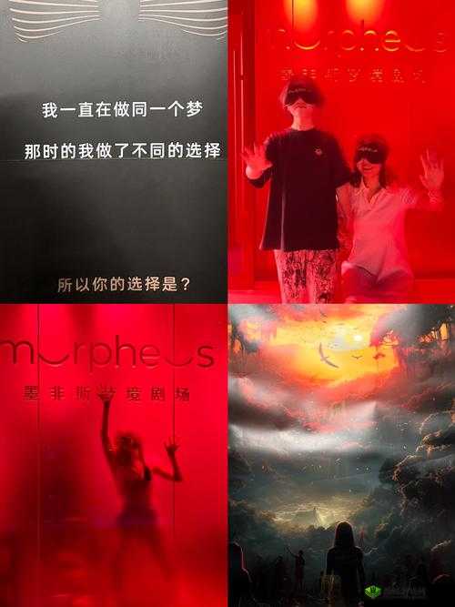 国产又爽又大又黄 A 片图片:探索视觉与感官的刺激之旅