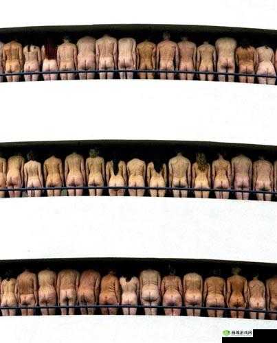 看真人裸体的震撼现场:真实呈现裸体之美