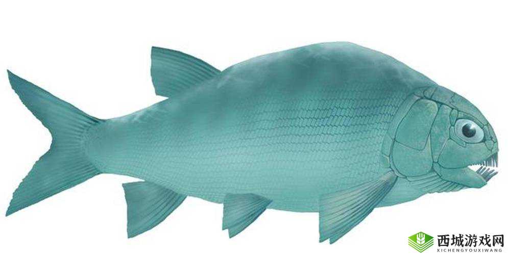 探索远古水域,揭秘2.44亿年前贵州的大型肉食鱼类