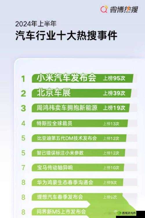 小米汽车,2024年发布在资源管理中的革新与展望