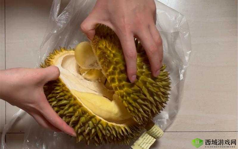 榴莲视频免费下载：带来精彩无限的视听盛宴