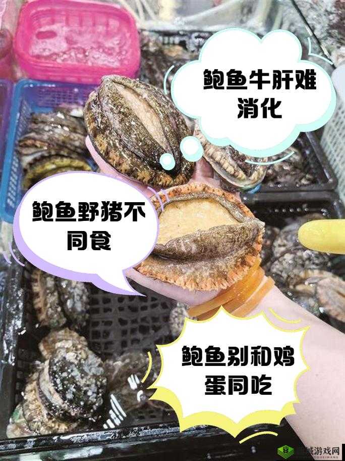 牛奶和鲍鱼能一起吃吗:二者同食是否会产生不良反应
