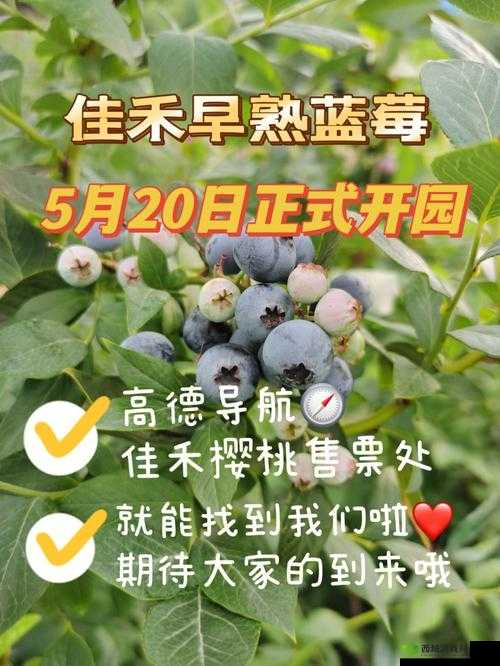 蓝莓社区福利导航:全面解读社区福利资源指南