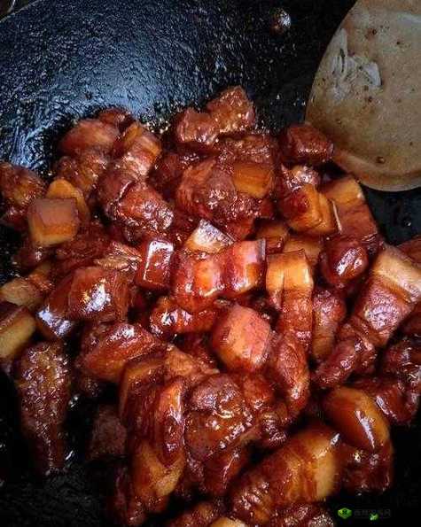 炖肉计(是今)海棠的具体做法详细解析