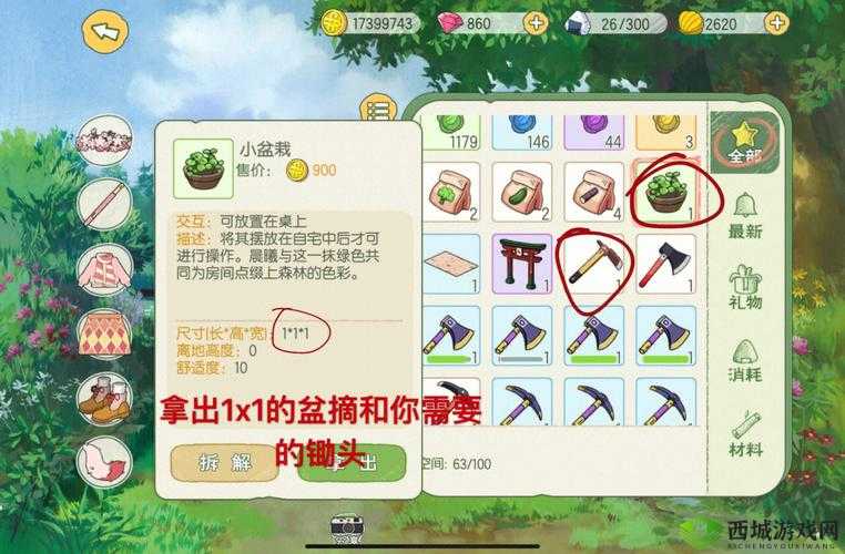 小森生活,探索与收获的自然乐章