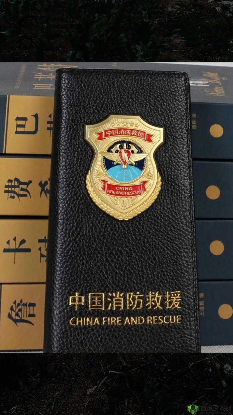 武汉消防官兵双龙 2024 文:英勇无畏守护城市安宁的篇章