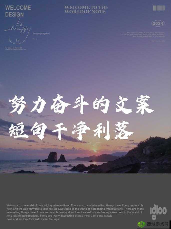 年轻的小痍子无为:关于人生、梦想与奋斗的故事