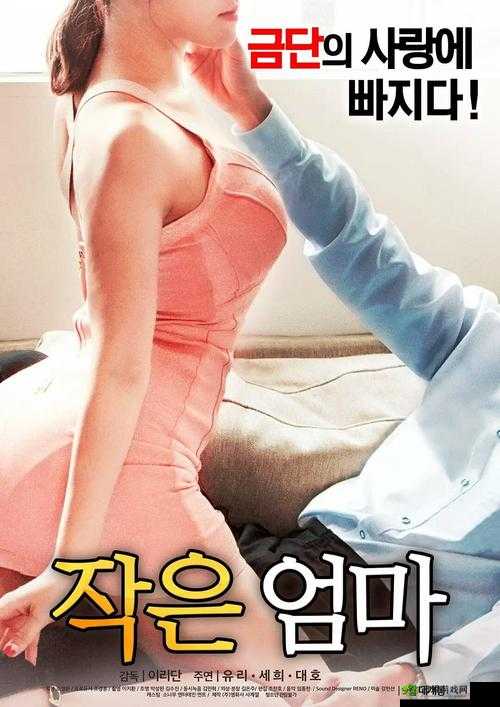 韩国黄色五级片:成人影片中的性与伦理