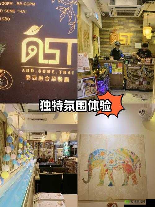 370 大但人文艺术可以不注册使用:带来独特体验与自由享受