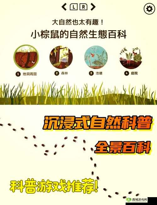 Zoom26 牧场 :探索自然与生态的奇妙世界之旅