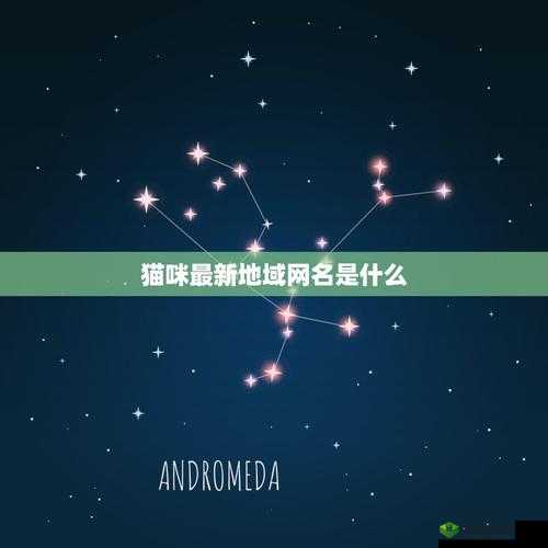 猫咪最新永久地域网名是什么:探索其背后的神秘意义