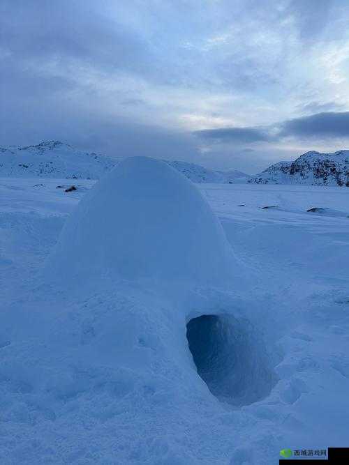 精品国无人区一品二品三品的特点:一品独特二品珍稀三品神秘且充满挑战