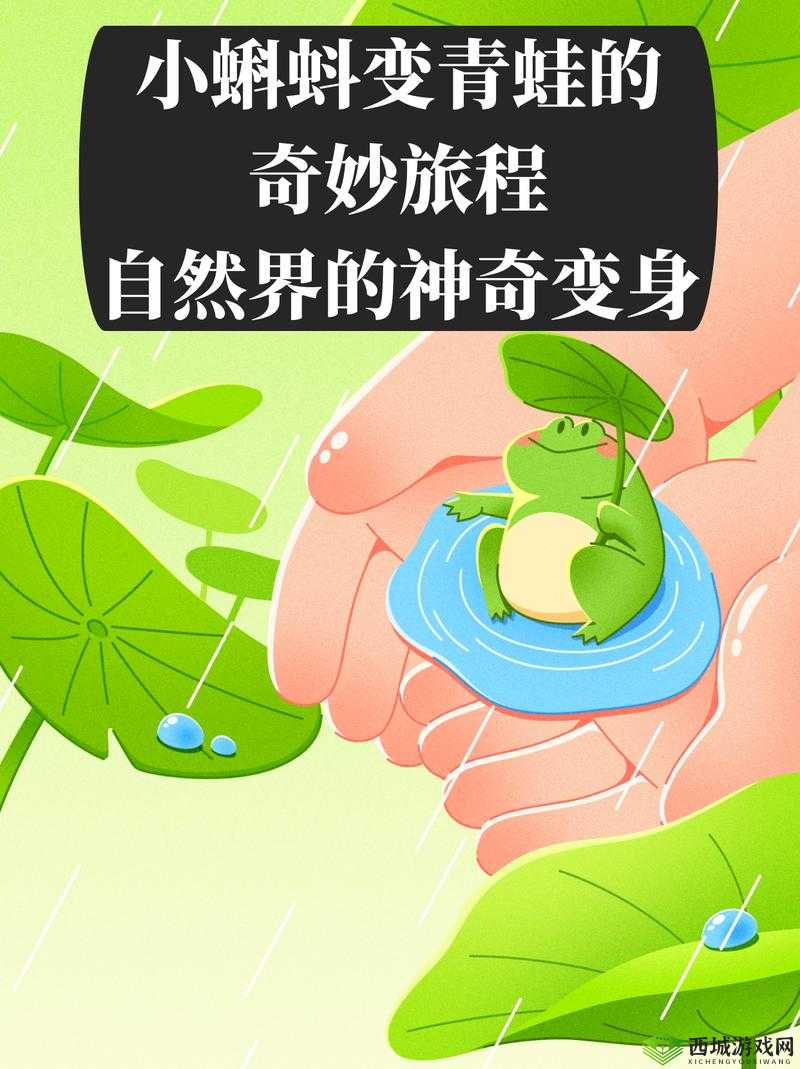 神奇的 9 色蝌蚪带来的奇妙奇幻景象