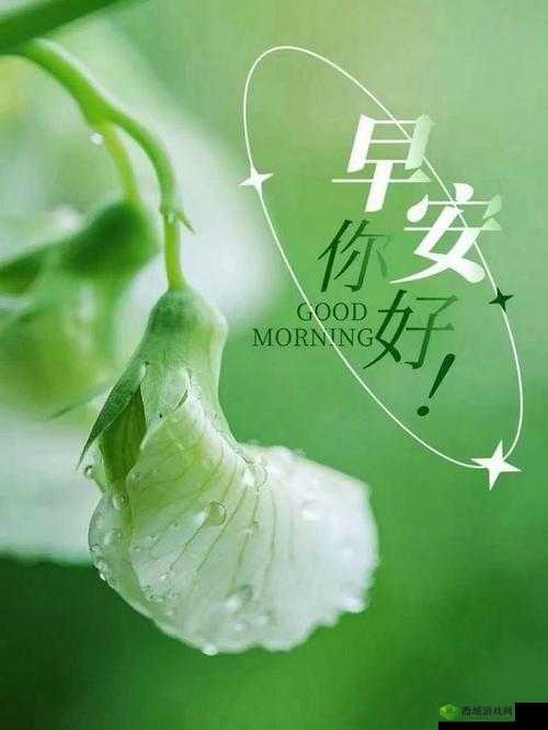 刚开始是拒绝的,后来太舒畅舒服了:从拒绝到享受的奇妙转变