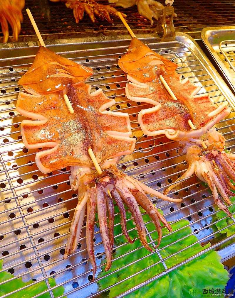 by3151 鱿鱼新官网换哪了：探寻其迁移背后的原因