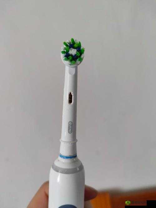 电动牙刷怎么玩自己:那里带刷头吗的新奇玩法探讨