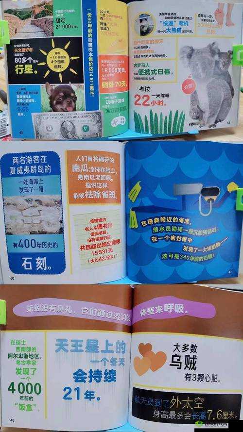 色彩大冒险秘籍揭秘:探索未知世界的神奇密码