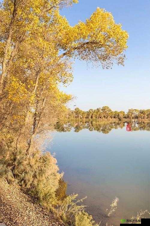 怡红院导航:带你领略不一样的世界风情