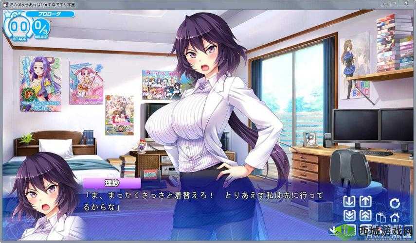 能干怀孕类游戏:开启奇妙孕育之旅