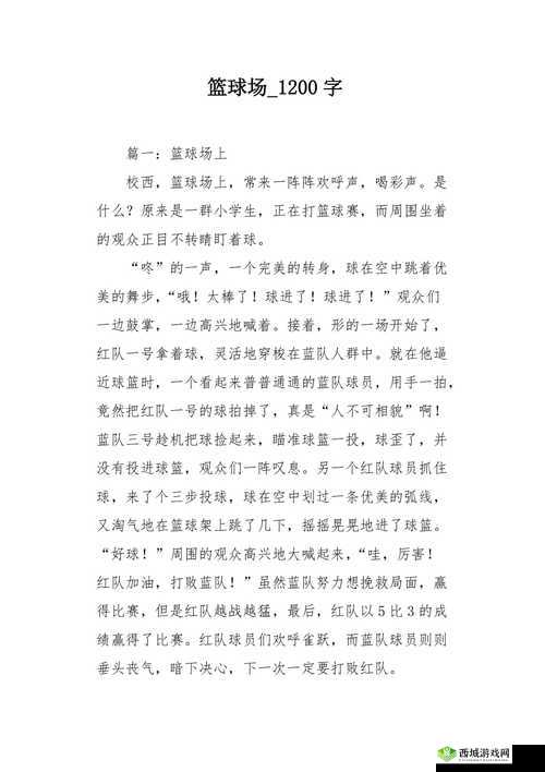 篮球队的公共玩具文章:探索篮球场上的共享乐趣