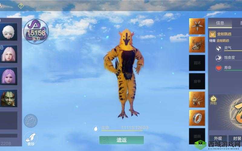 妄想山海金刚鹦鹉强度分析,资源管理、技巧、浪费避免与最大化价值