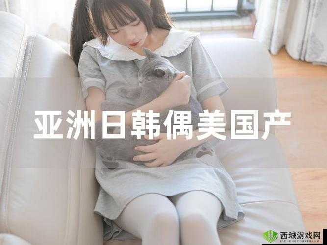 亚洲区欧美日韩综合:多元文化的精彩碰撞与融合